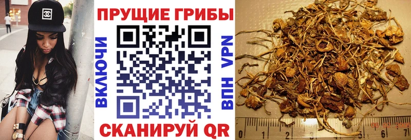 площадка телеграм  что такое   Горно-Алтайск  Псилоцибиновые грибы Magic Shrooms 